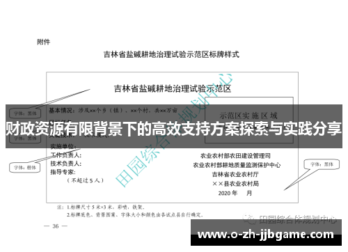 财政资源有限背景下的高效支持方案探索与实践分享